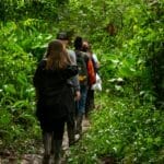 Turyści na trekkingu w gęstej, zielonej dżungli w Brazylii