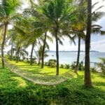 Hamak między palmami nad spokojnym oceanem na tropikalnej wyspie